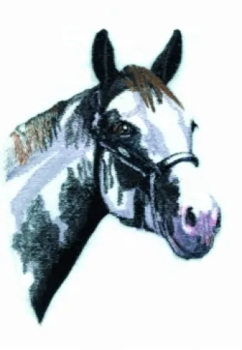 Embroidered Sweatshirt - Black & White Horse BT4453 Sizes S - XXL