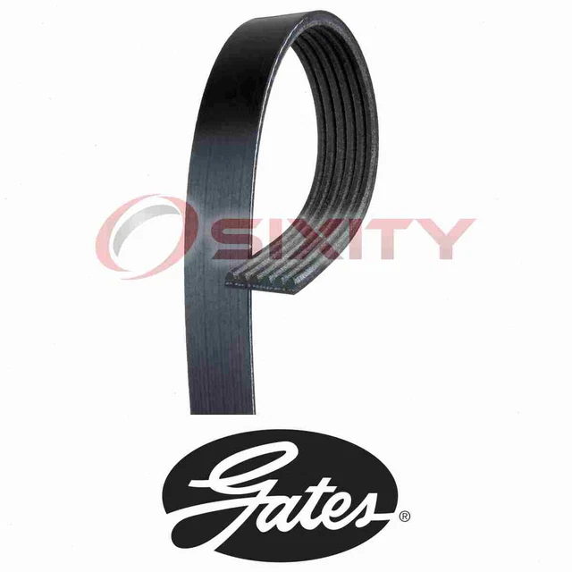 For Dodge Ram 1500 GATES MICRO-V Serpentine Belt 3.7L 4.7L V6 V8 2002-2007 ne