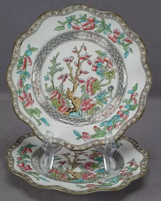 Pair of Coalport Indian Tree Hand Colored Transferware 7 3/4 Inch Plates