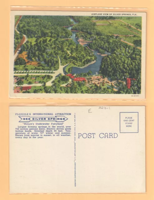 1950s AIRPLANE VIEW OF SILVER SPRINGS FLA FLORIDA POSTCARD