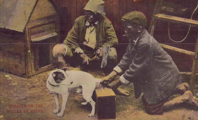 Black Americana Post Card - 2 Boys with Dog and Axe