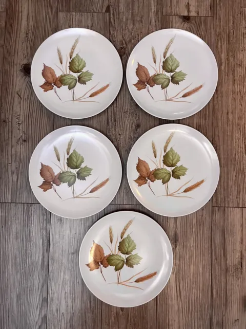 5 Texas Ware MCM 10 in. Dinner Plates Fall Harvest Leaves