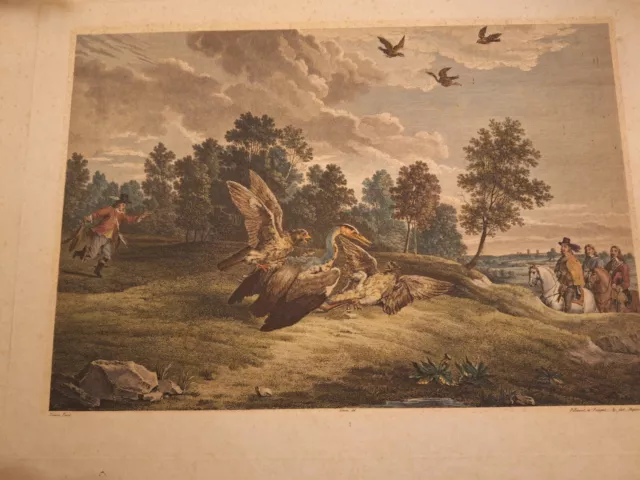 Original Kupferstich Reiher Jagd um 1800 koloriert Pillement