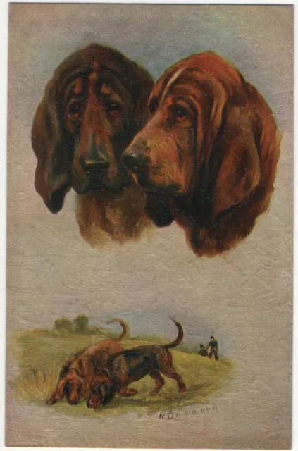 Postcard Tuck 'Oilette' Sporting Dogs - English Blood Hound No. 3366 N. Drummond