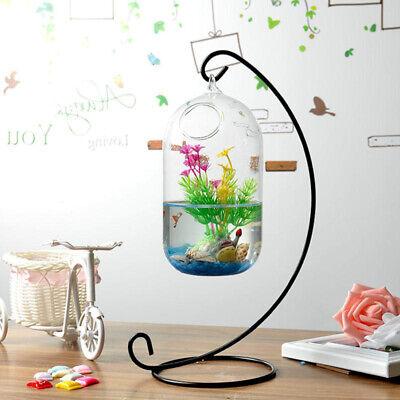 Ecosphere Fish Tank With Stand Combo Set Small Aquarium