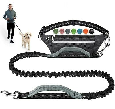 Hands Free Dog Leash for Running Walking Hiking, Dual-Handle bungee w/ waistband