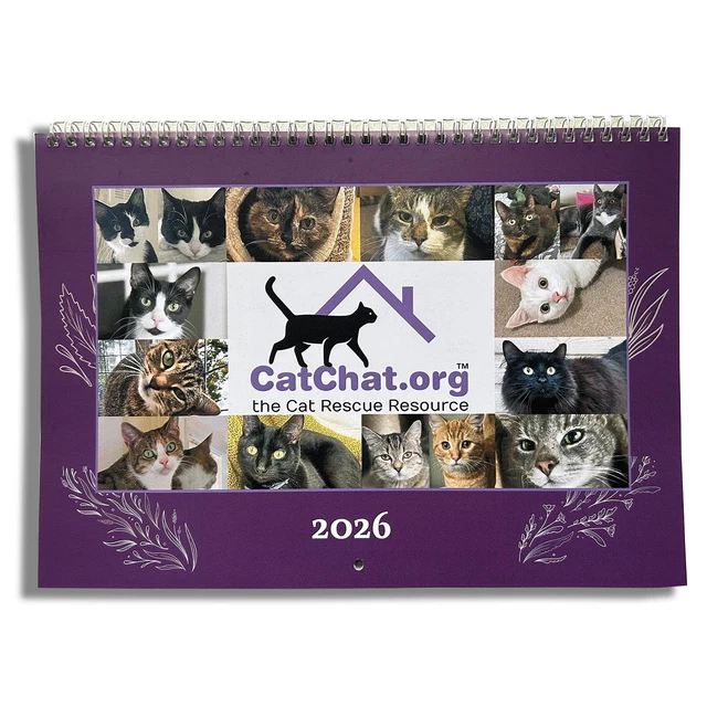 CAT RESCUE CHARITY Wall Calendar 2026 Month to View. Different Cat Each ...