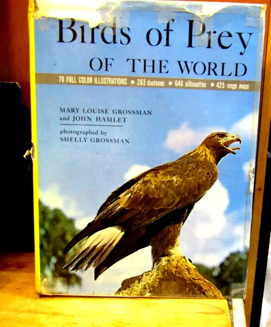 1964 Birds Of Prey Of The World Huge Coffee Table Book As Is Dust Jacket Photos