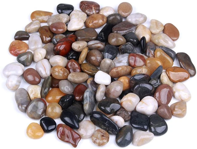 Rocas para plantas suculentas o jardín bonsái, bolsa a granel de 3 libras - 1 pulgada 20-30 mm mezclada