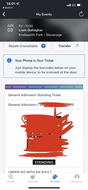 Liam Gallagher ticket standing jun 3 Knebworth Can Send Direct To Phone