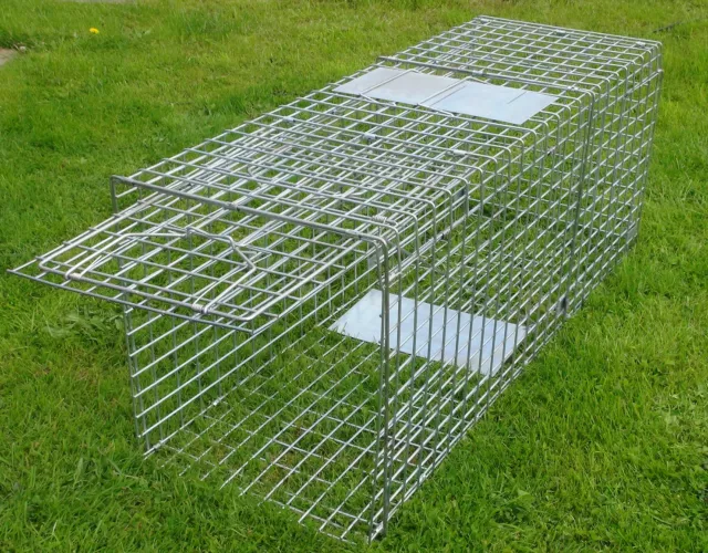 Used,57 "Inch X-Large Folding Fox Trap, Humane,Fox Trap, Dog, Pest Control