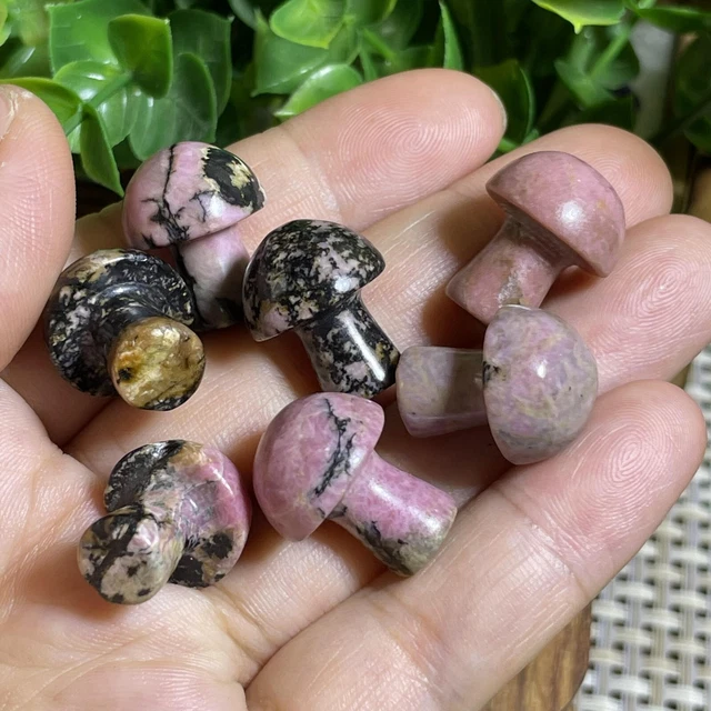 7pcs Natural Rhodonite Quartz Carved Crystal Mushroom reiki Healing Decor A1521 7