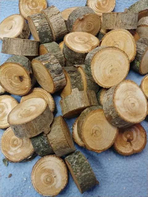 (45) Rebanadas de galletas de madera de pacana de 1" × 12 mm de espesor borde vivo...