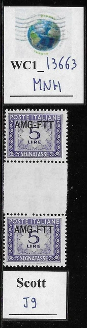 WC1_13663. ITALY: TRIESTE FTT. Gutter pair 5 L. 1950 postage dues. Scott J9. MNH