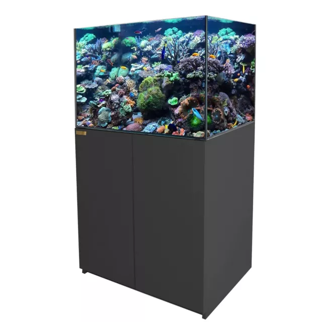 100 Gallon Black Coral Reef Aquarium Tank Ultra Clear transpare Glass with Sump