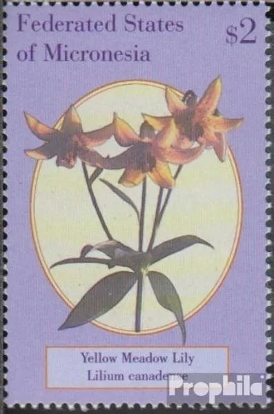 Mikronesien 1031 (kompl.Ausg.) postfrisch 2000 Wildblumen