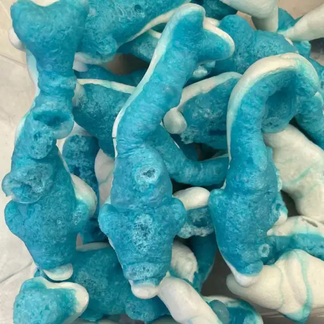 Freeze Dried Blue Raspberry Dolphins
