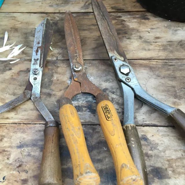 https://www.picclickimg.com/3hAAAOSwHBZkvorO/Garden-Shears-Vintage-3-wilkinson-sword-draper-west.webp