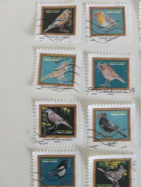 Belgique 3784 (coplète.Edition.) Neuf Avec Goe Originale ** NH 2007 Oiseaux (Tibres Pour