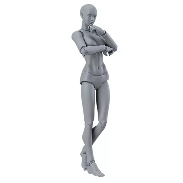 Mannequins Human Body Durable Movable Human Body Models Fine Craftsmanship For