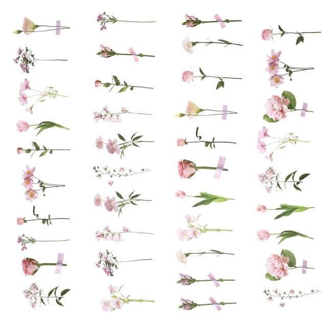 80 Sheets The Pet Sticker Pack Travel Floral Scrapbook Stickers