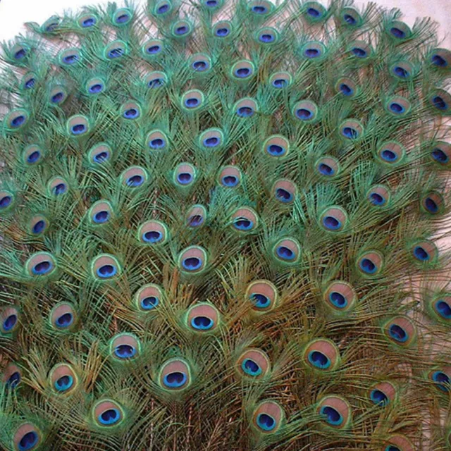 10pcs Real Natural Peacock Tail Eyes Feathers Wedding Festival Party Home Decor