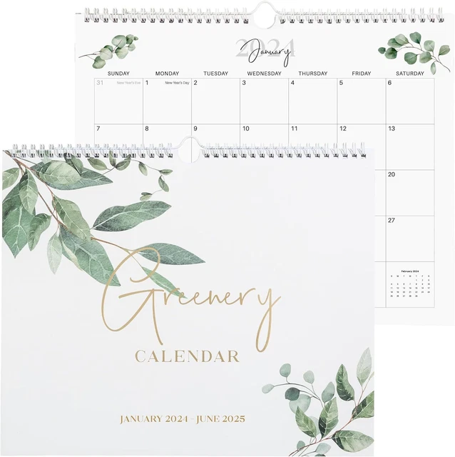 WALL CALENDAR 20242025 Greenery Hanging Jan 2025 24 Jun 25 15.98