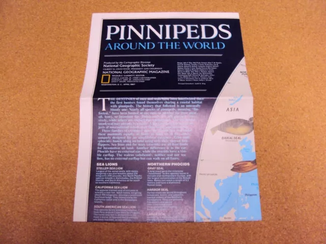 National Geographic Revista Abril 1987 Mapa Pinnipeds Around el Mundo Sella