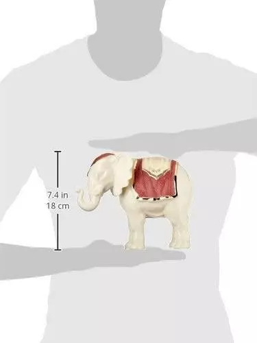 Lenox Primera Bendición Natividad Elefante Descontinuado Nuevo Re-en caja 3