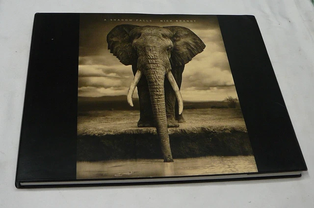 A SHADOW FALLS - Hardcover By Nick Brandt - VERY GOOD CONDITION