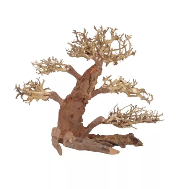 XL Bonsaï Arbre Nr.12049 Racine Bois Aquarium Déco Aquascaping Nature Oriental