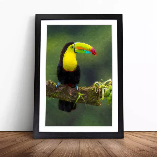Resting Toucan In Abstract Animal Bird Wall Art Print Framed Picture Poster