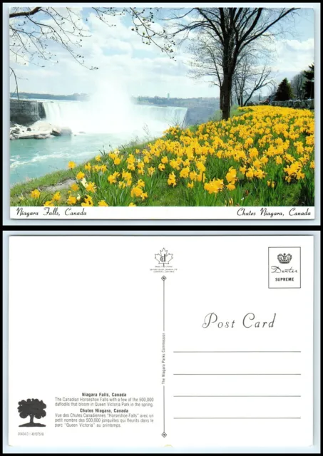 CANADA Postcard-Niagara Falls,Canada Horseshoe Falls from Queen Victoria Park A4