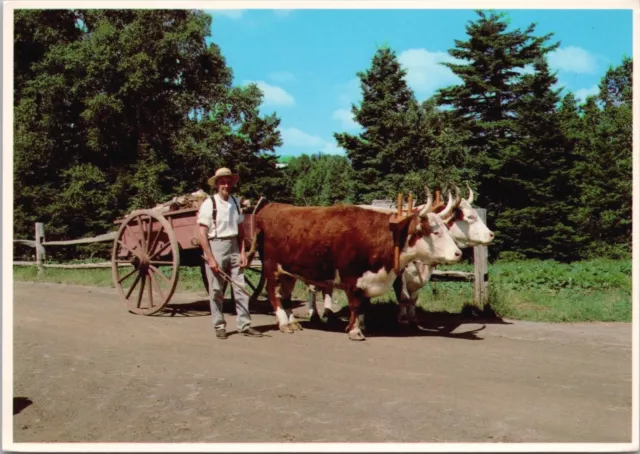 Oxcart Kings Landing Historical Settlement NB New Brunswick Postcard D43