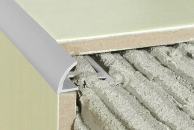 2 Mètres Bordure Fliesenleiste Alu Anodisé Inoxydable 2000x20x10mm a53