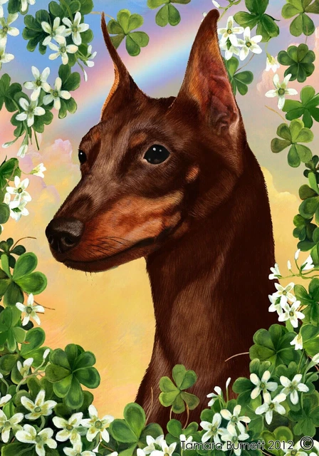 Clover House Flag - Chocolate and Tan Miniature Pinscher