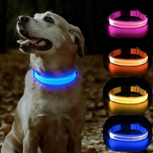 USB Rechargeable LED Pet Dog Collar Flashing Luminous Safety Light Up Nylon UK