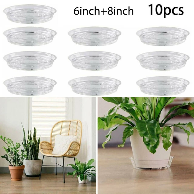 15.2cm 20.3cm Transparent Plastique Rond Plante Pot Soucoupe Base Eau Goutte