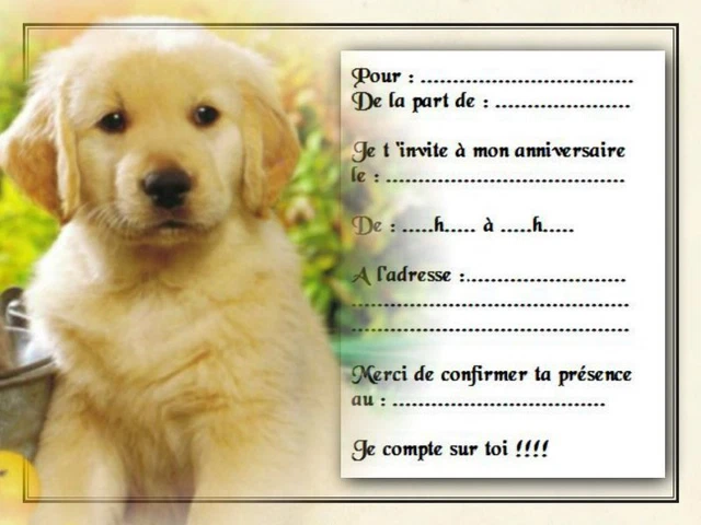 Cartes D’invitation Anniversaire – Lot De 5 Ou 12, Modèle REF 1084