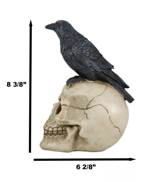 Zombie Raven Scavenger Crow Perching On Wretched Skull Decorative Figurine 8"H 2