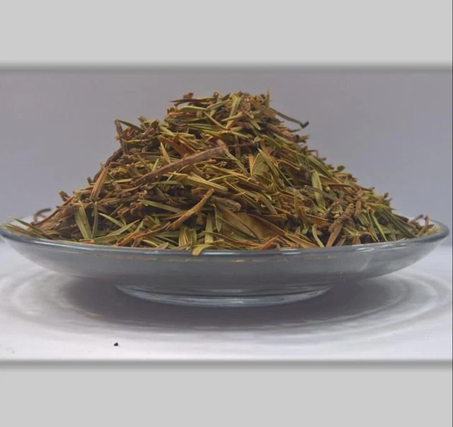 foglia di ginepro ورق العرعر عرعر