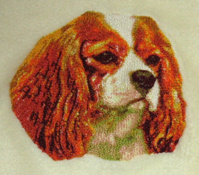 Embroidered Long-Sleeved T-Shirt - Cavalier King Charles Spaniel DLE1504