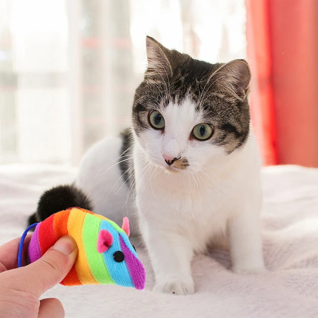 6 piezas juguete de felpa suave hierba gatera juguete para gato