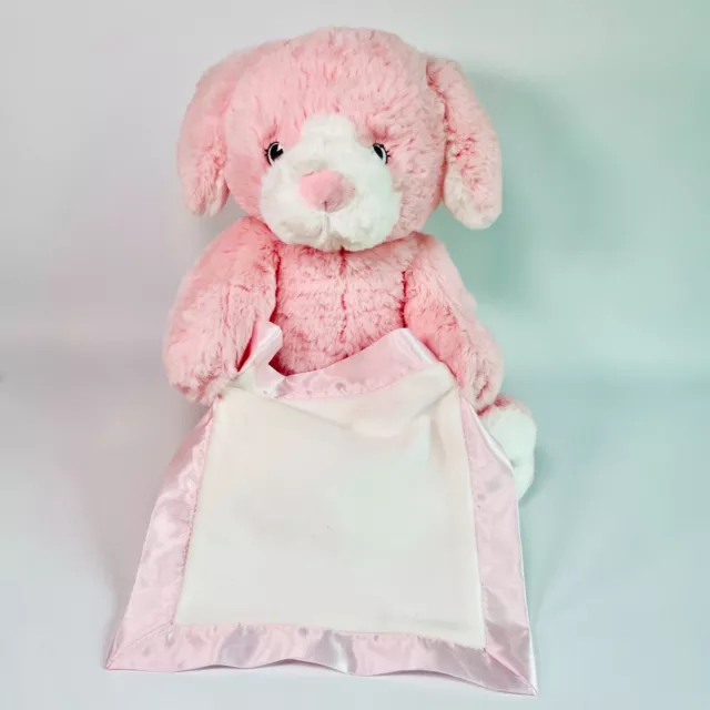 Baby Infant Gund Pink Peek-a-Boo Puppy Works Peek a Boo Stuffed Animal Plush Toy