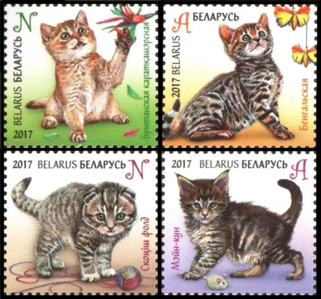 Belarus 2017 * Kittens, Cats * Children philately * FAUNA * Set of 4 Stamps *MNH