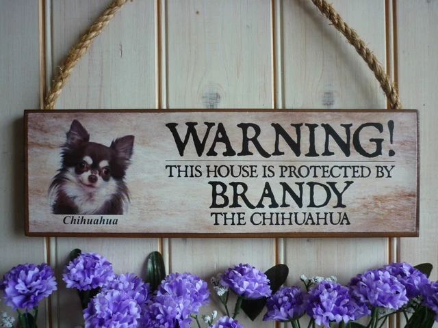 Targa 'Attenti Al Chihuahua' In Metallo | 15x20 Cm | Per Giardino O Porta | Personalizzabile Con Foto