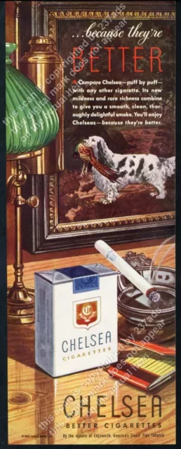 1943 Clumber Spaniel with pheasant art Chelsea cigarettes vintage print ad