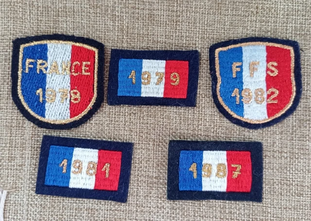 Insigne Montagne Ski FFSG - Émail Grand Feu, France, Années 1920, Collection