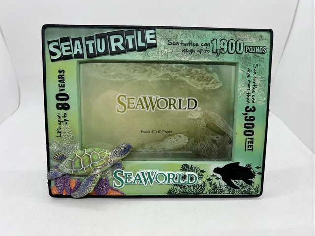 SEAWORLD TURTLE TURTLES FISH CORAL  4 X 6 PICTURE FRAME Facts Themed 3D