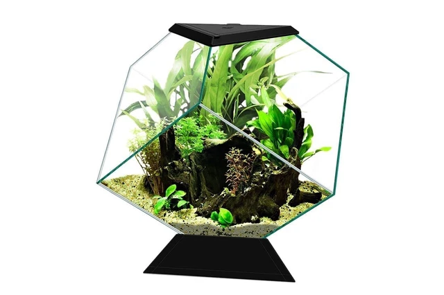 Diamond Ciano Nexus Aquarium 14L Fish Tank for Beginners